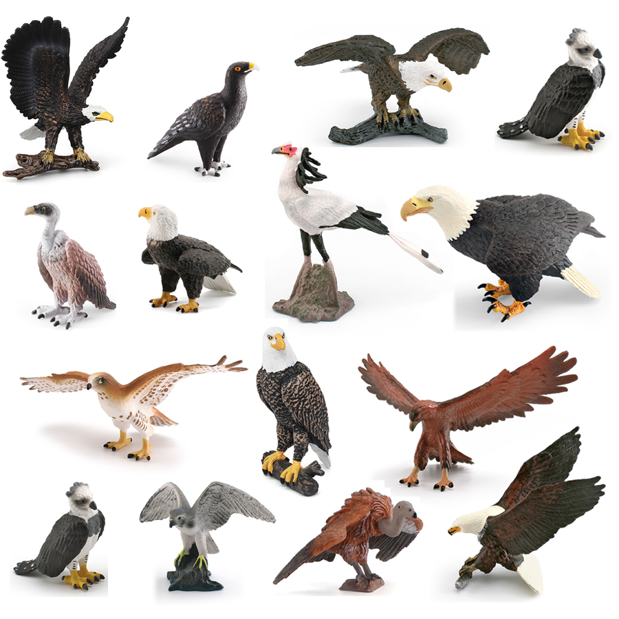 Kids Education Picture - Realista animais selvagens pássaros de alegria