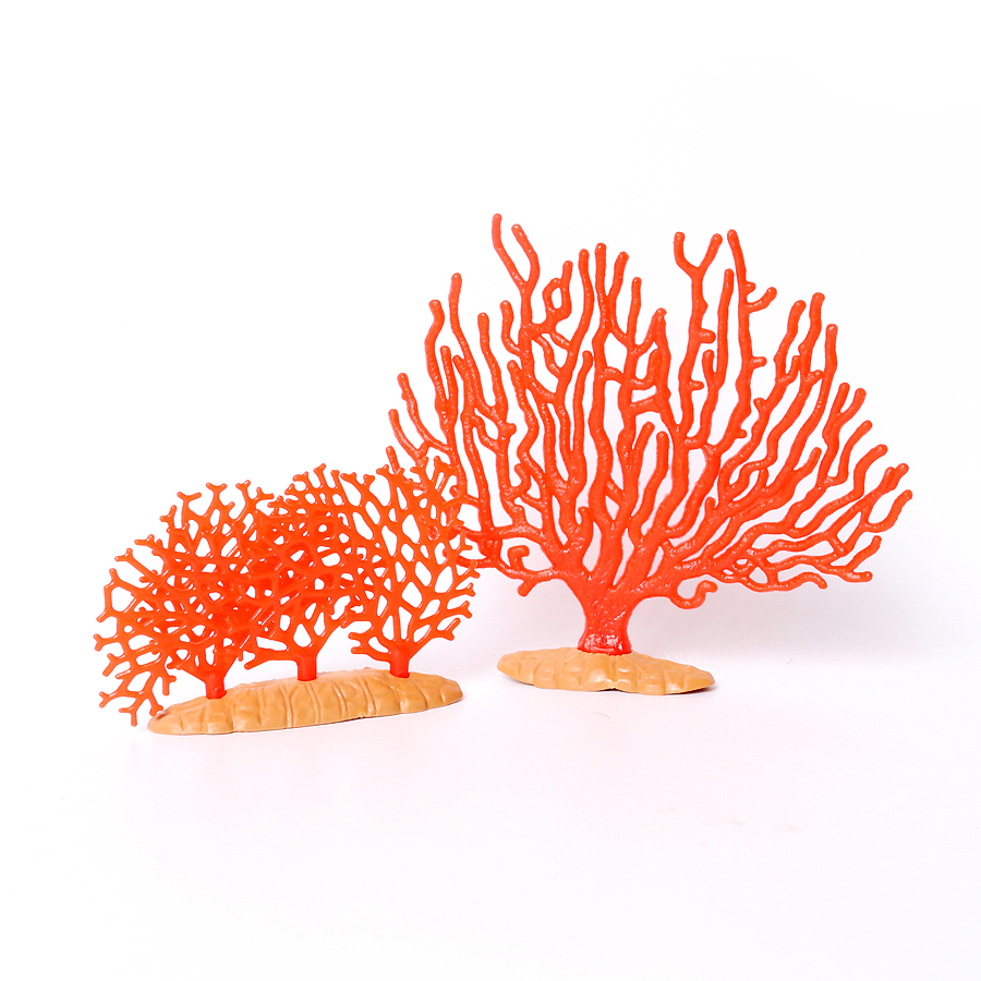 Realista coral anêmonos do mar - Kids Education Picture avaliação e preço