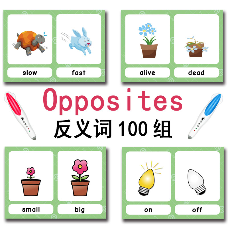100 Cartões de Vocabulário em  - Kid Educational avaliação e preço