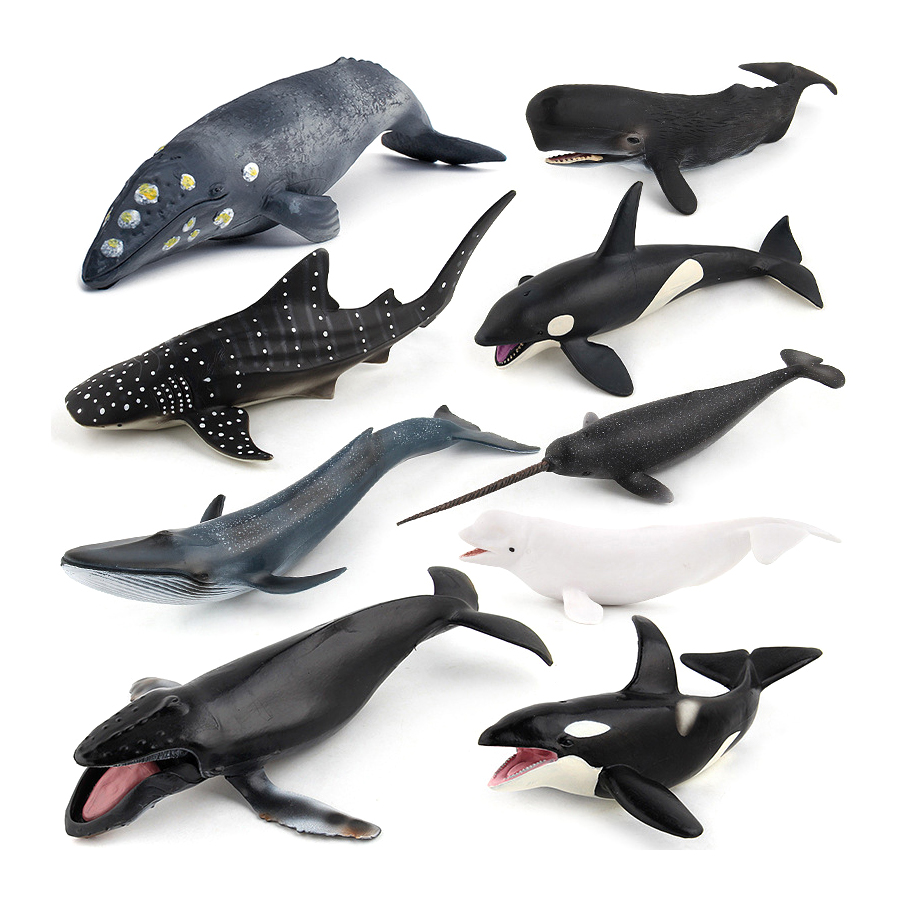 Modelos Realistas de Animais M - Kids Education Picture avaliação e preço