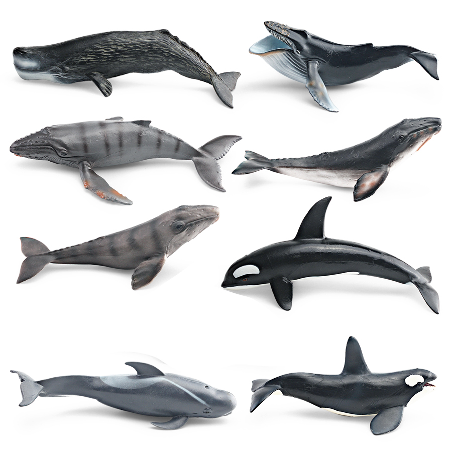 Modelos Realistas de Animais M - Kids Education Picture avaliação e preço