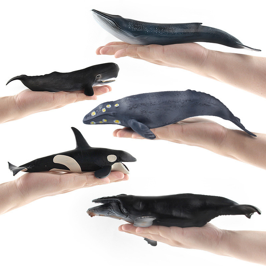 Modelos Realistas de Animais M - Kids Education Picture avaliação e preço