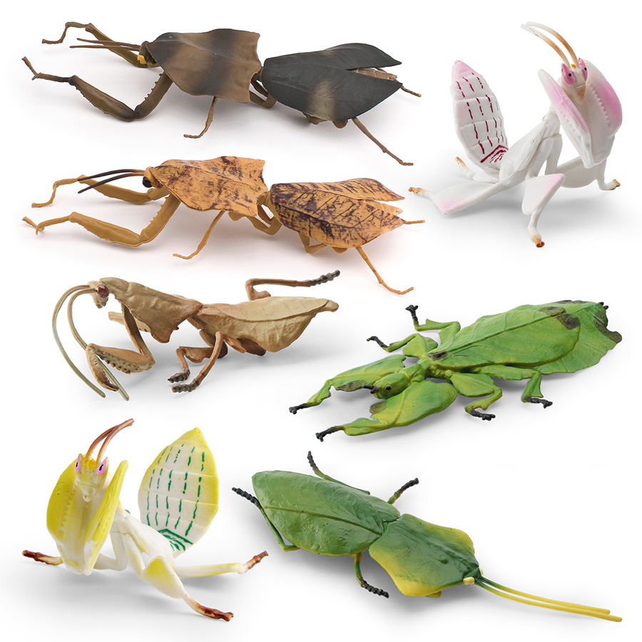 Modelo Realista de Mantis Orqu - Kids Education Picture avaliação e preço