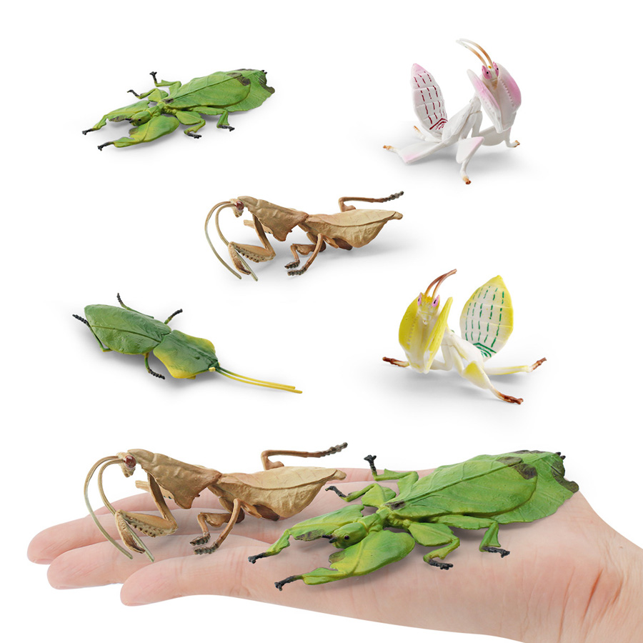 Modelo Realista de Mantis Orqu - Kids Education Picture avaliação e preço